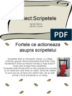 Proiect Scripetele