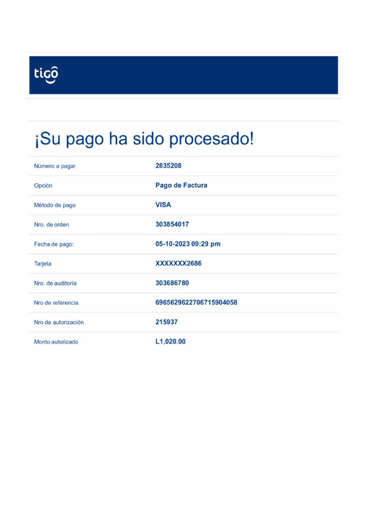 DESCARG Y PAG TU FACTURA ONLINE visual data 8