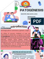 #10 Patogenesis