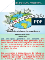 Clase 2 Principios Del Derecho Ambiental