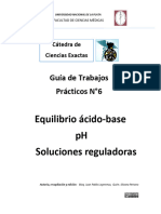 TPN°6.Equil - Ac Base Solucreg 2021pub