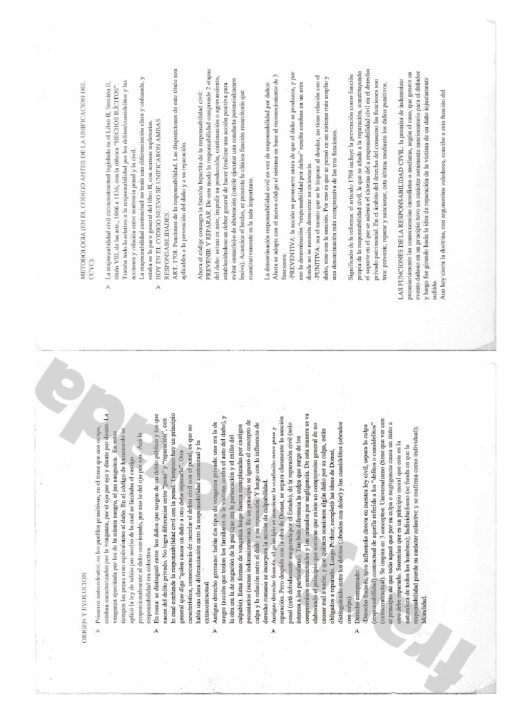 Responsabilidad resumen pdf