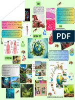 Mapa Mental Con Los Conceptos Básicos Del Entorno Vivo.