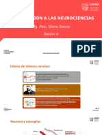 Int Neurociencias - Sesión 6 - 2023 2 - UARM