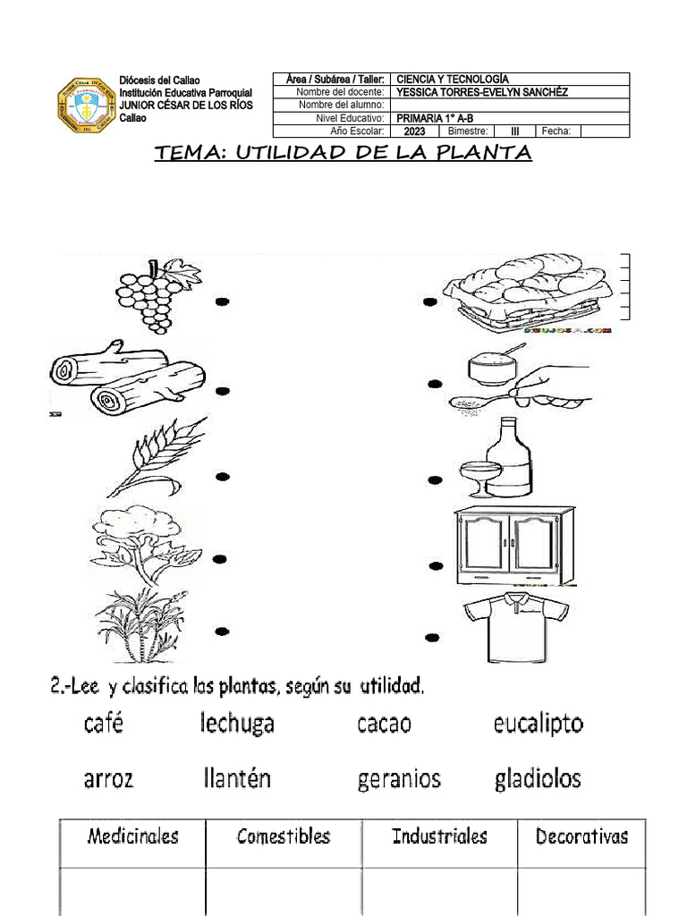 Cuaderno De Fichas Ciencia Y Tecnologia. Primer Grado De Primaria Completo
