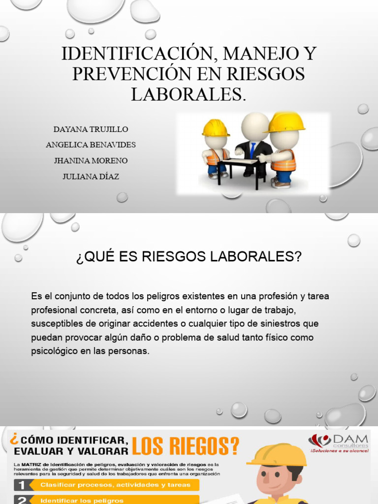 Identificación, Manejo y Prevención en Riesgos Laborales | PDF