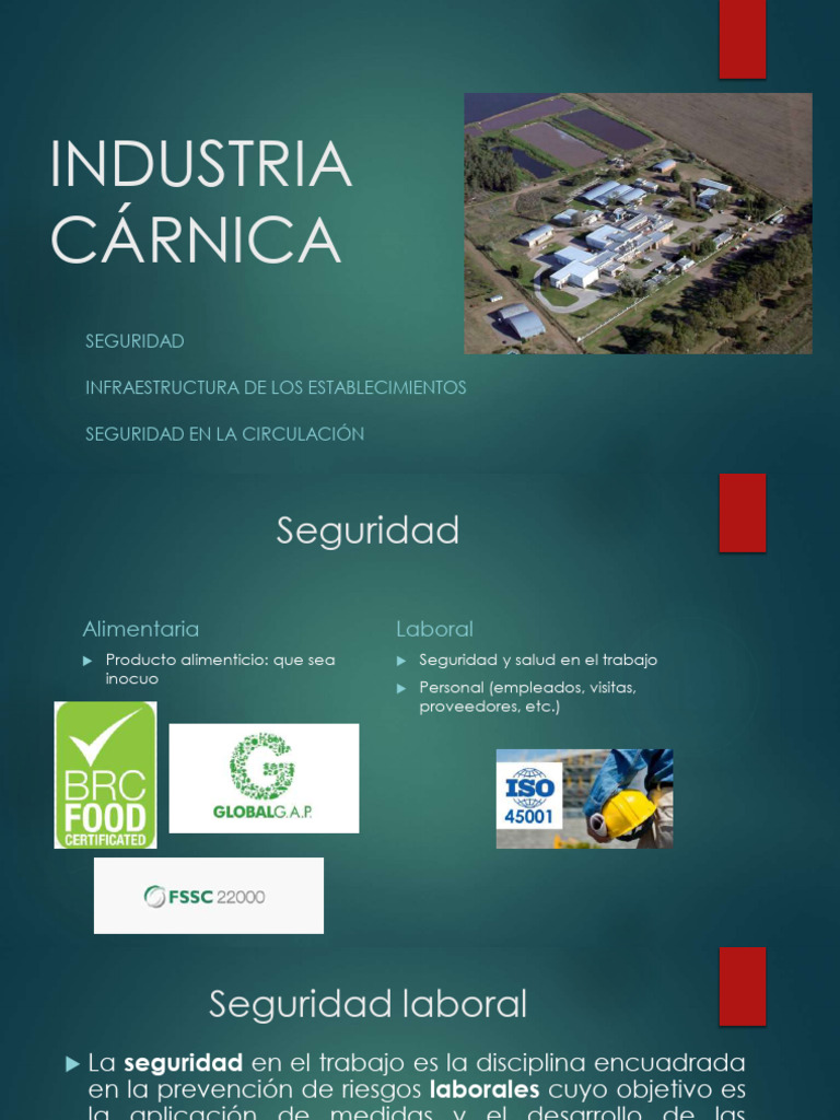 Seguridad en la Industria Cárnica | PDF | Seguridad y salud ocupacional