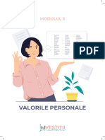 Modul 3 - Valori Personale