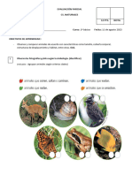 Evaluación Parcial Animales