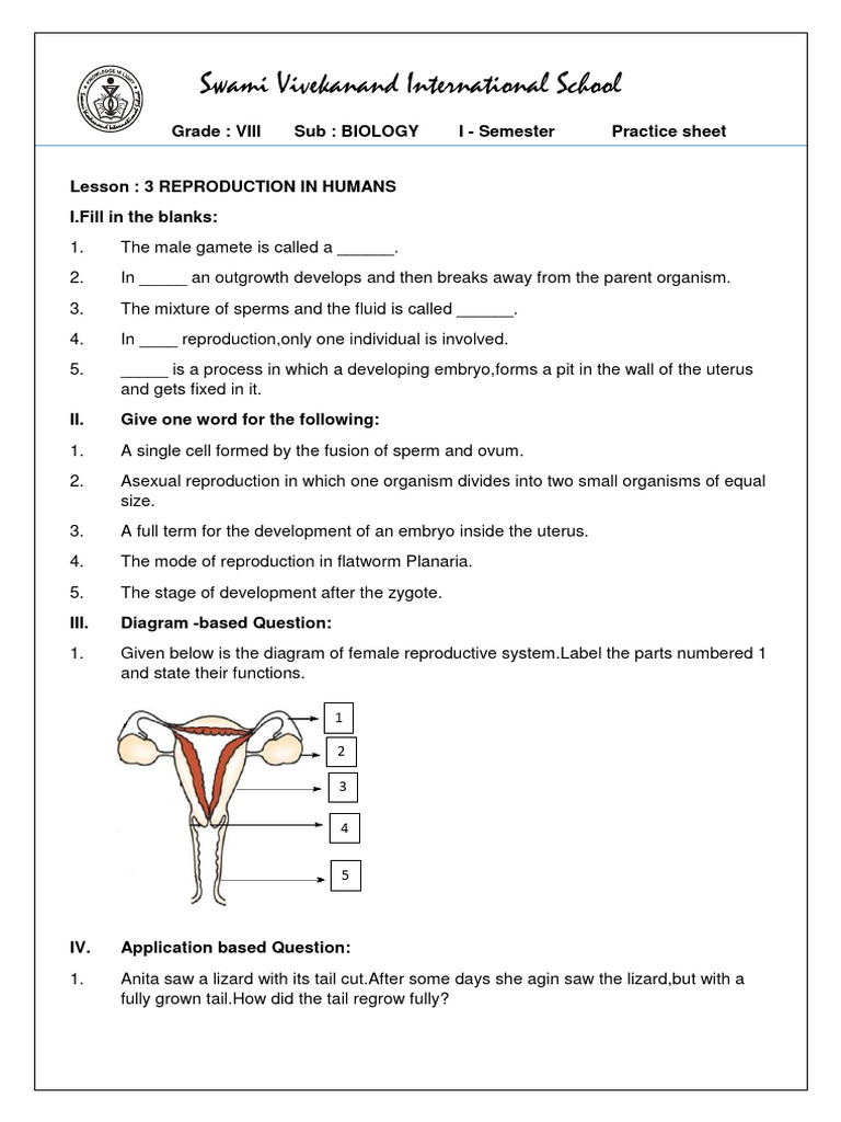 grade-8-biology-l-3-practice-sheet-pdf