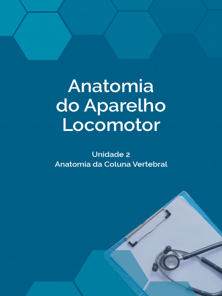 Anatomia da Coluna Vertebral | PDF | Carreira e Crescimento