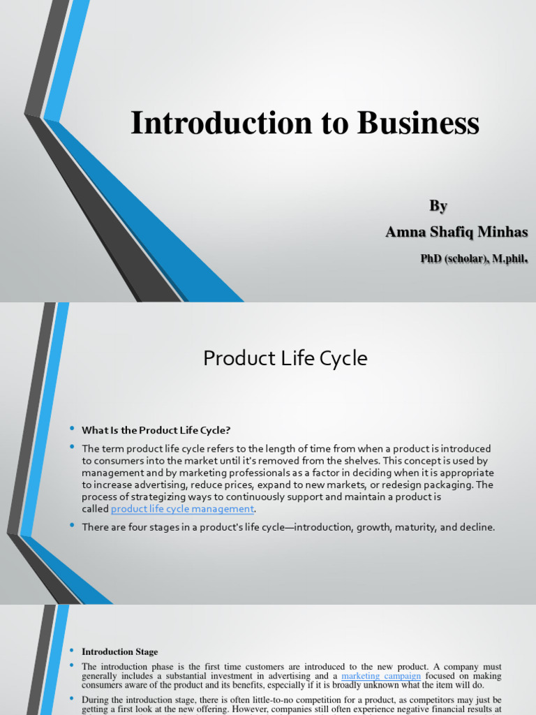 Product Life Cycle PDF