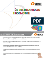 Desarrollo Psicomotor