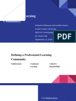 Establishing A Professional Learning Community