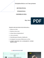 10. Heteropoda, Pteropoda y Nudribranquia 2023