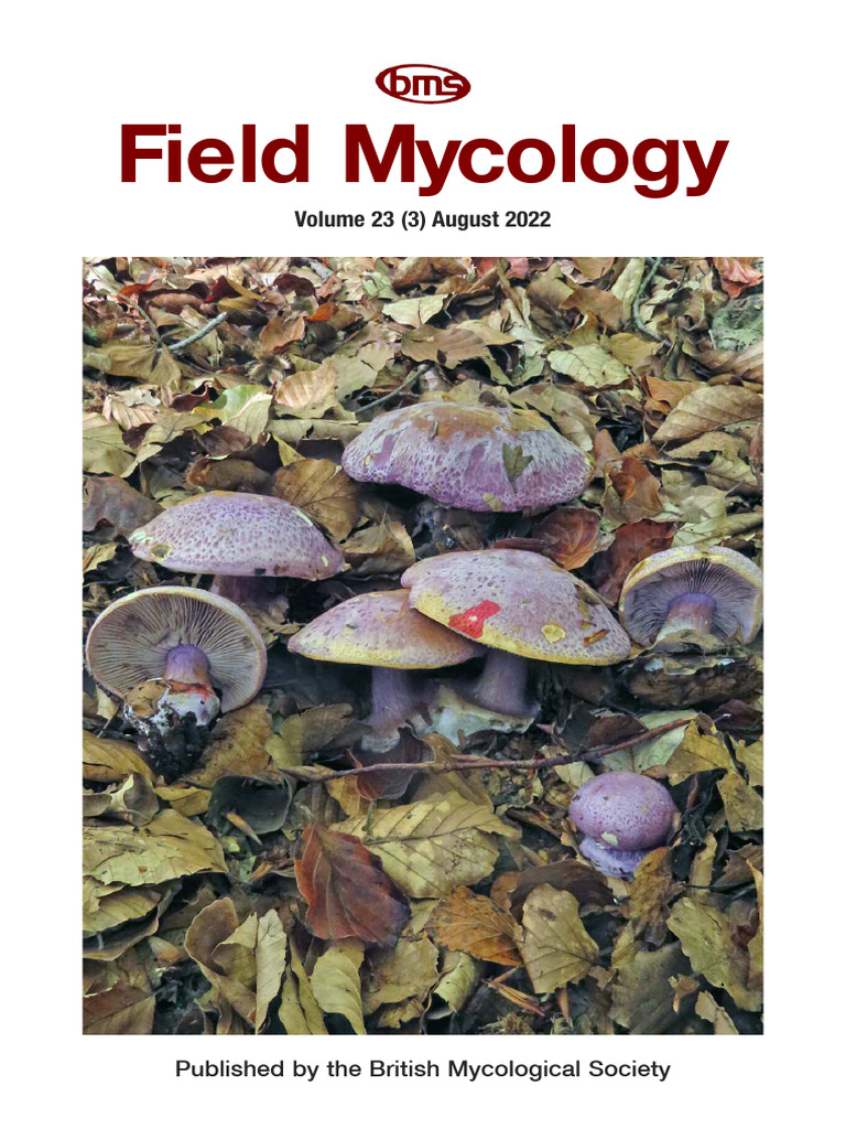 Field Mycology Vol 233 August 2022 PDF