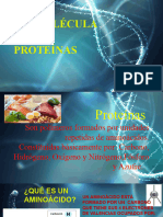 Moléculas - Proteínas