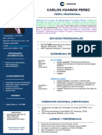 Formato de CV Cetemin