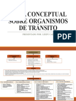 MAPA CONCEPTUAL SOBRE ORGANISMOS DE TRÁNSITO