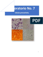 Protocolo 7 Célula Procariota