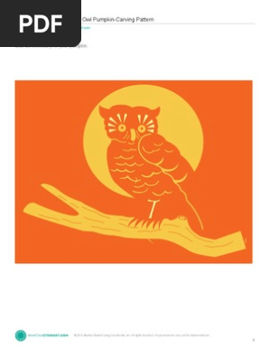 pumpkin owl