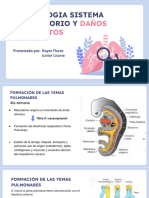 Embriologia Sistema Respiratorio