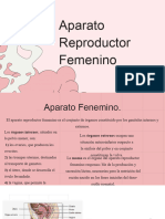 Documento PDF