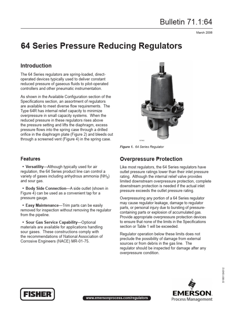 D100113X012 | PDF | Flow Measurement | Mechanical Engineering