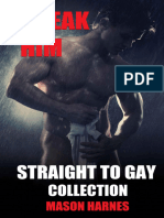 Break Him_ Straight To Gay Collection