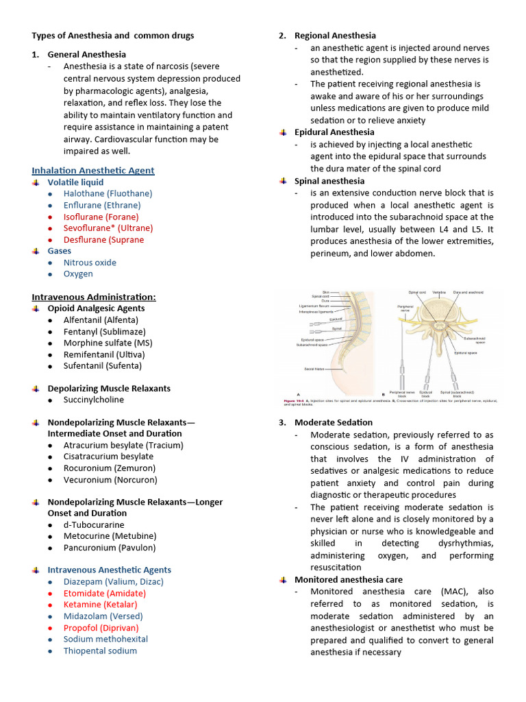 Common Anesthesia Drugs and Principles PDF Anesthesia Surgery