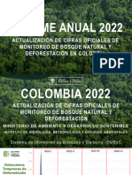 Cifra Actualización Deforestación 2022