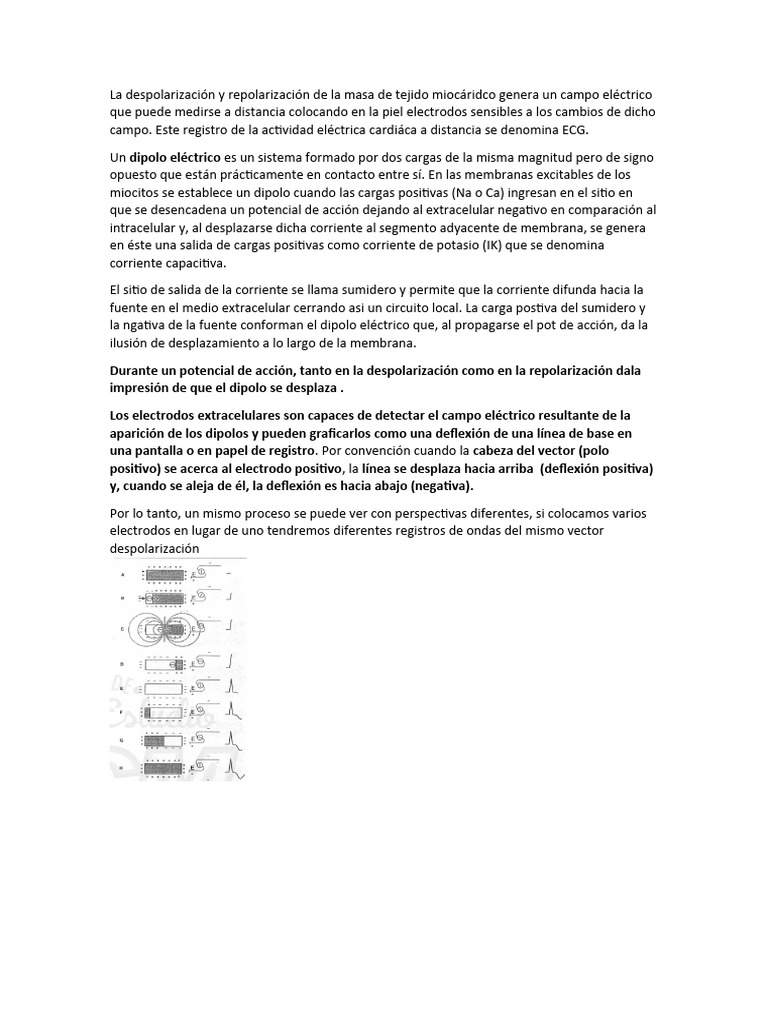 Ecg resumen best pdf