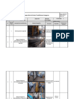 SSO FOR 42 INSPECCIÓN DE ACTOS Y CONDICIONES SUB ESTÁNDAR 1 (OPAS) (v01)