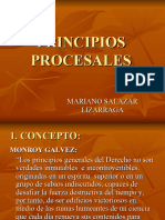 Principios Procesales