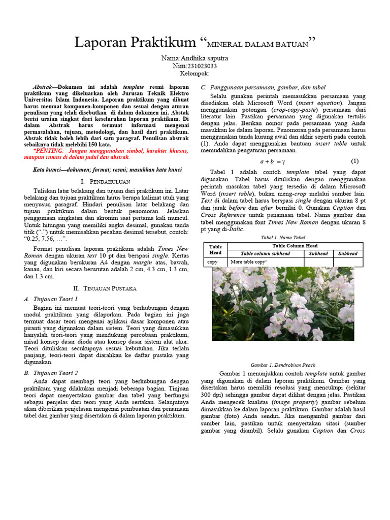 Template Laporan Praktikum V3 1 PDF