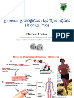 Aula Efeitos Biológicos Da Radiação