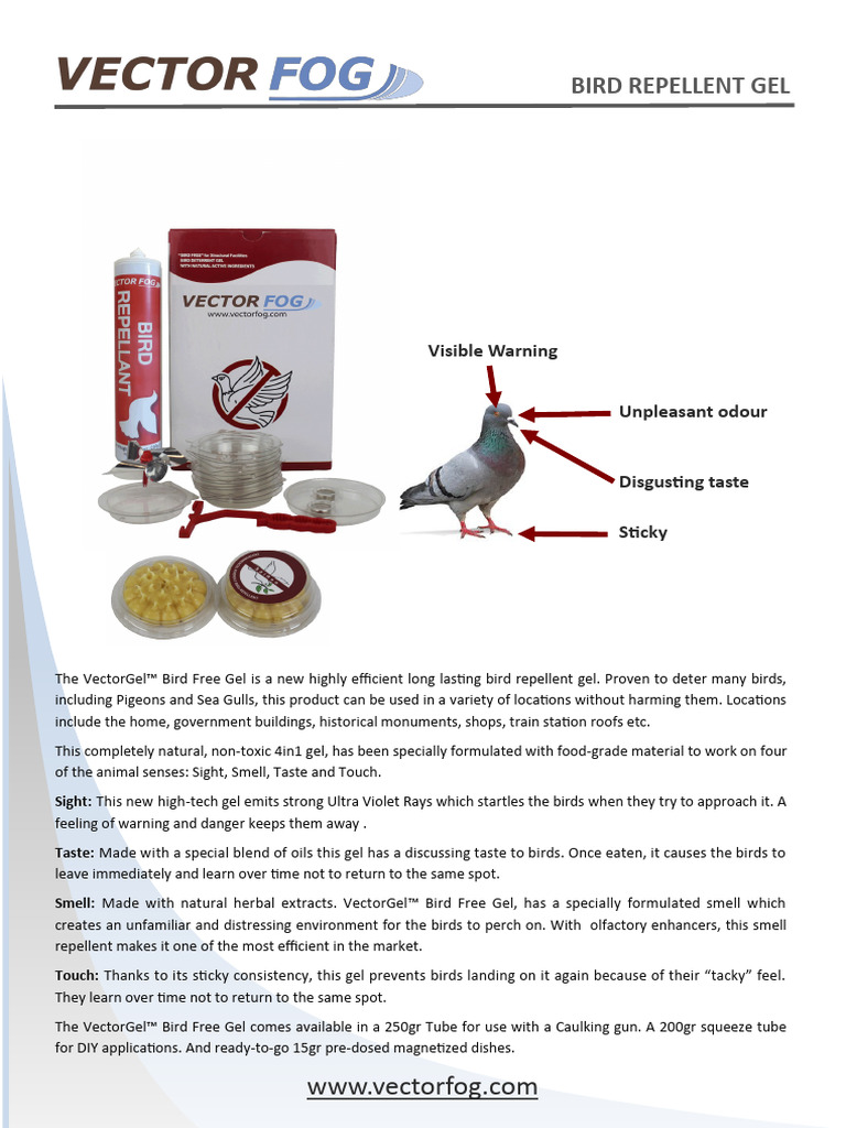 Bird Gel 1 1 | PDF