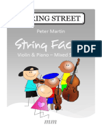 String Factor - Violin - Mixed Strings-740VLN