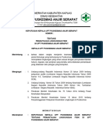 8.5.1.1.a. SK PEMANTAUAN FISIK