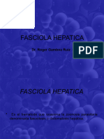 Fasciola, Paragonimus, Schistosoma
