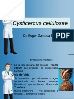 12,13. Cysticercus, Quiste Hidatidico