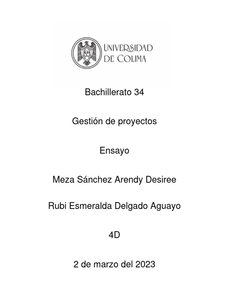 ensayo-pdf