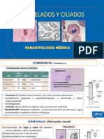T3-Parasitologia Medica