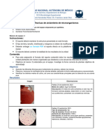 Copia de P6. Formato de Reporte Aislamiento PDF