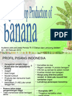 Profil Pisang Lampung (PPG)