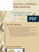 Fix-Batang Dan Anomali Pada Batang