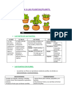 Udi 3 Plantas-Plants