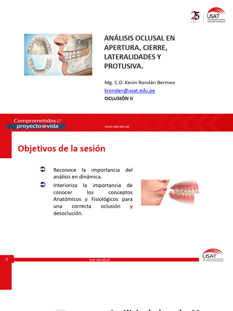 Análisis Oclusal y Protrusiva | PDF