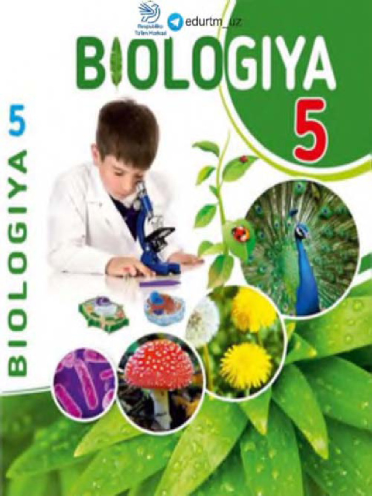 külotlu çorap ustida mushuk dan cum