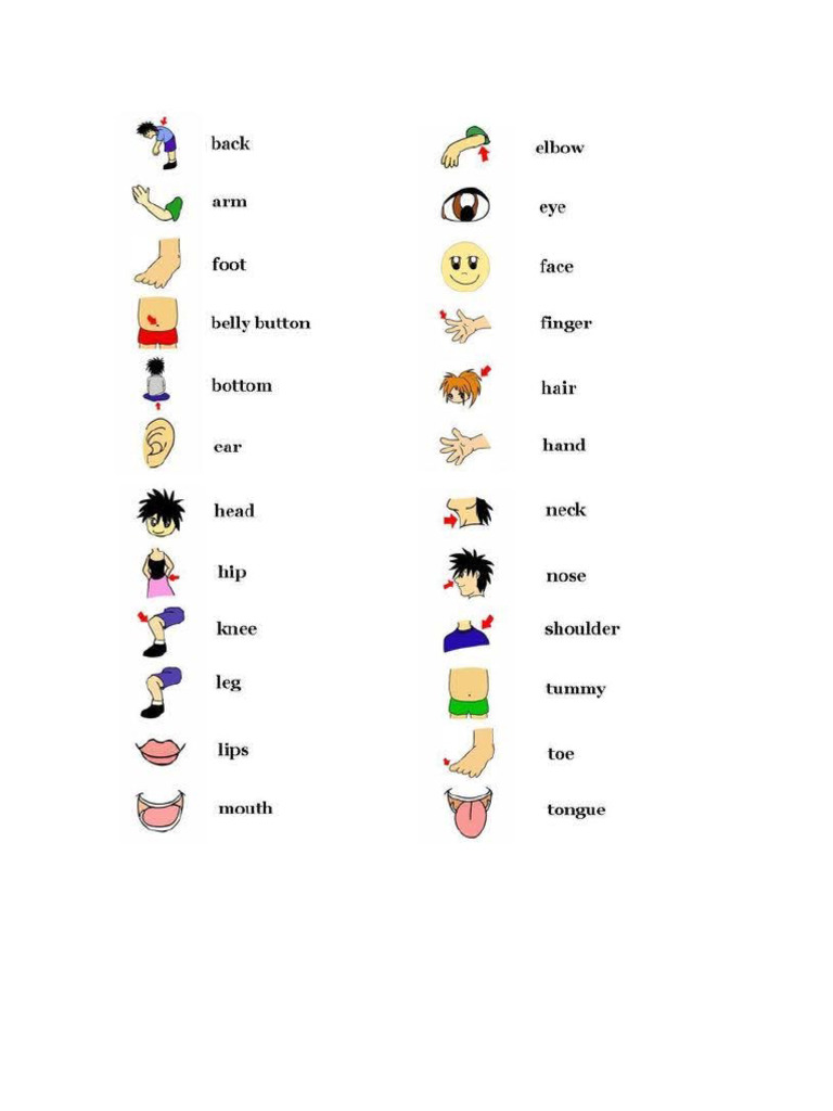 invatam-partile-corpului-in-engleza-pdf